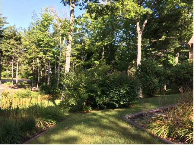 18 Howards Hill Road Harpswell, ME 04079 - Photo 30 of 31 Land/Lot. The lot has open areas of...