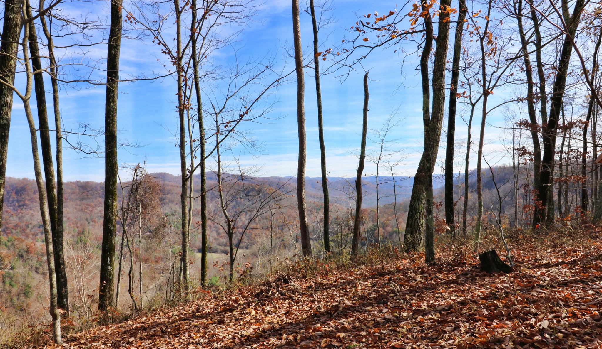 0 Shug Mountain Road Oneida, TN 37841 - Photo 32 of 34 Gallery Image 32