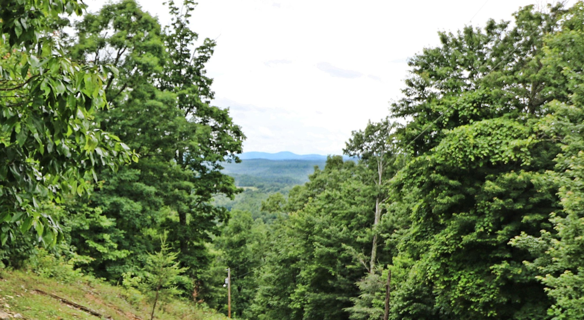 0 Shug Mountain Road Oneida, TN 37841 - Photo 4 of 34 Gallery Image 4
