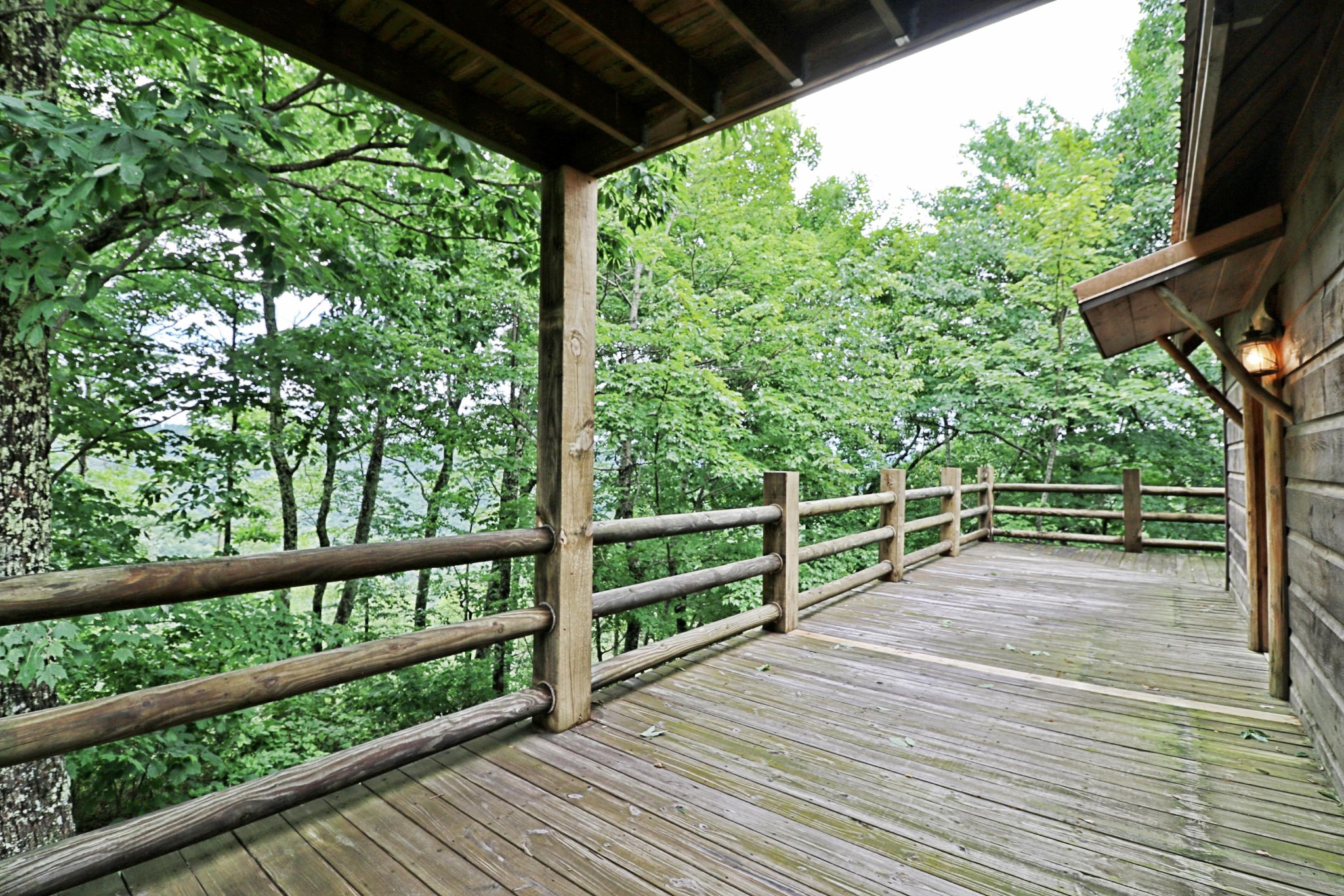 0 Shug Mountain Road Oneida, TN 37841 - Photo 7 of 34 Gallery Image 7