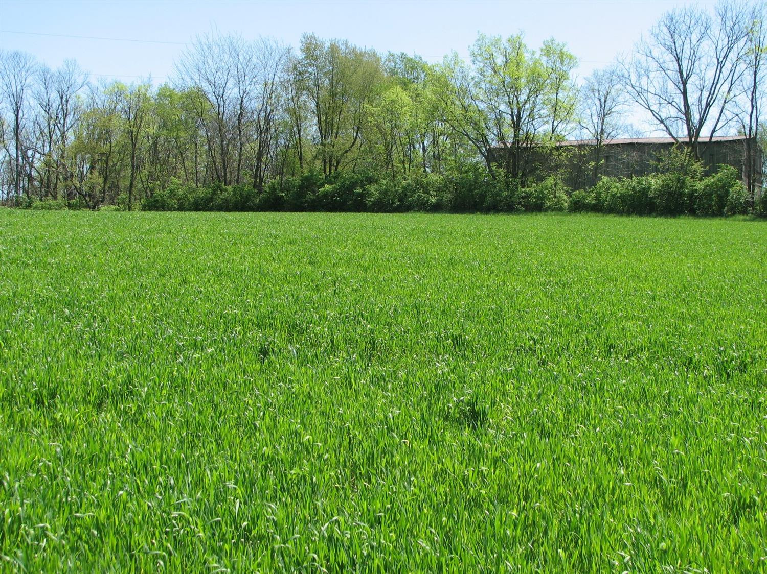1037 Roseberry Road Carlisle, KY 40311 - Photo 9 of 23 Listing Photo