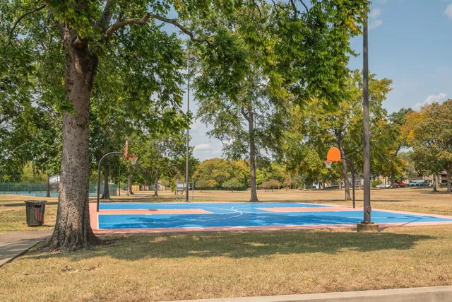 a view of a yard with palm trees
