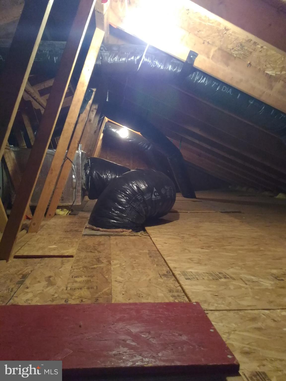 2 9th Street Ridgely, MD 21660 - Photo 28 of 33 Floored attic