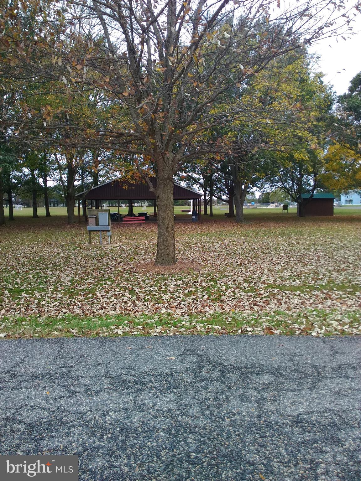 2 9th Street Ridgely, MD 21660 - Photo 31 of 33 Picnic area