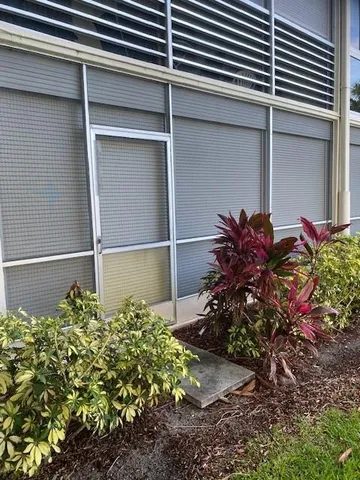 a plant that is in front of a house