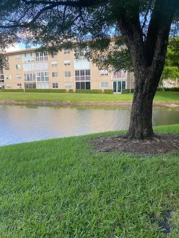 a view of a large trees next to a yard
