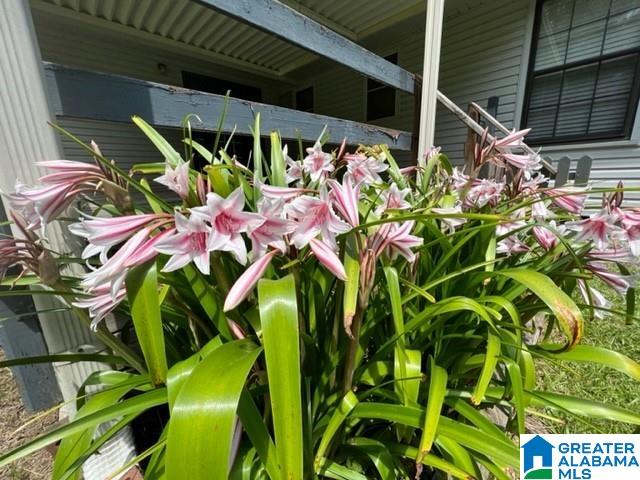5885 Highway 77 Ohatchee, AL 36271 - Photo 6 of 20
