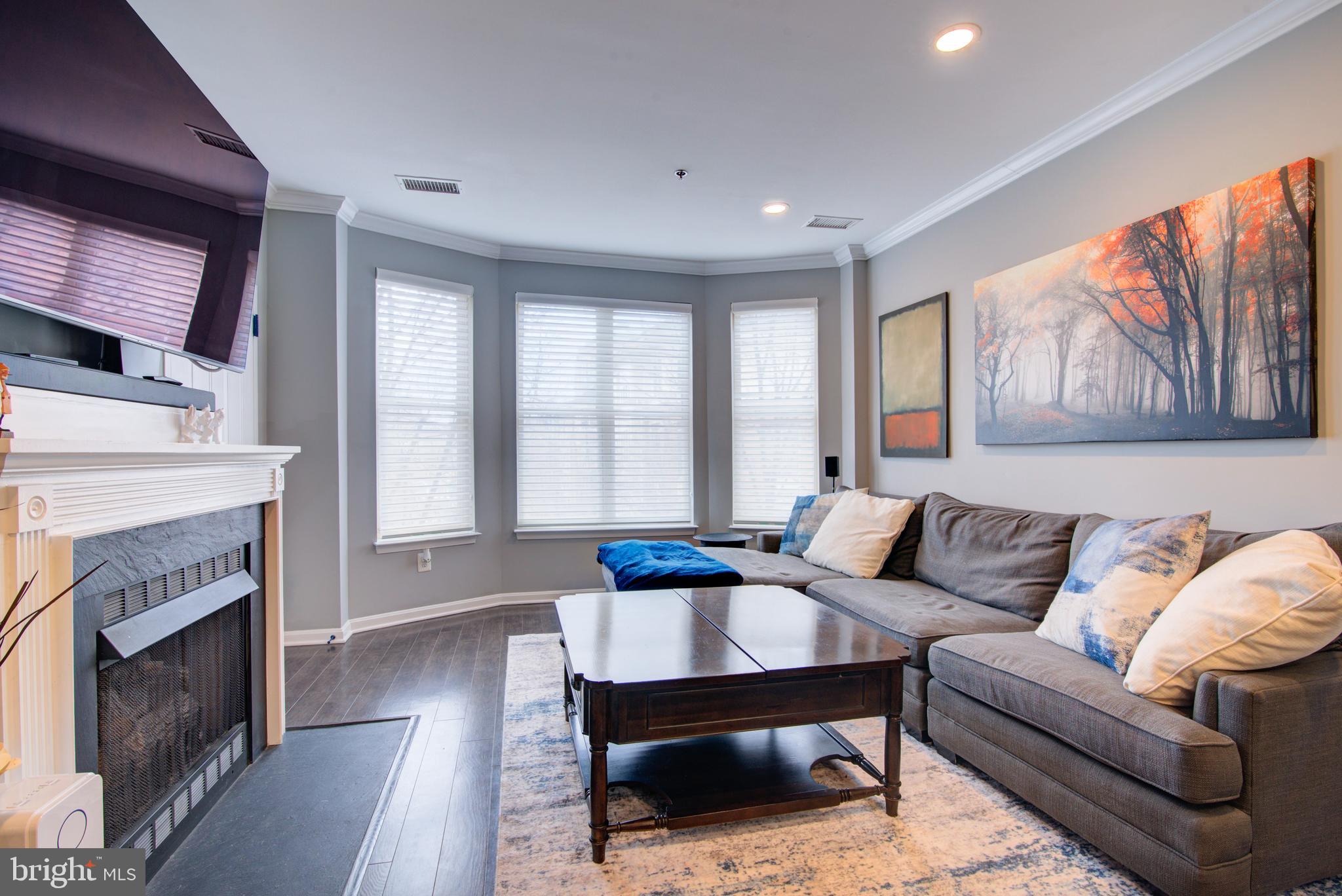 1855 Stratford Park Place, Unit 310 Reston, VA 20190 - Photo 62 of 62 a living room with furniture and a fireplace