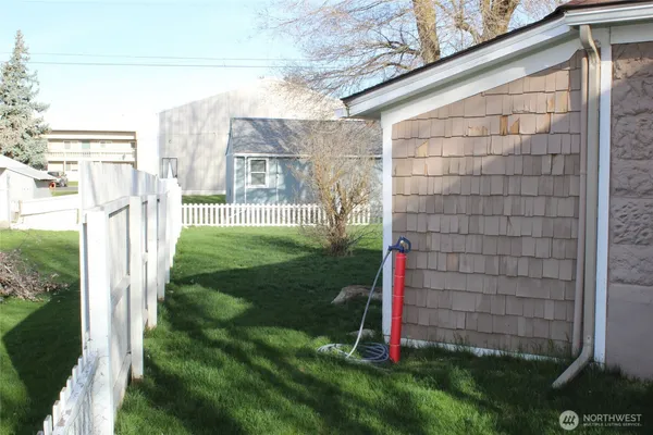 a view of a backyard with plants