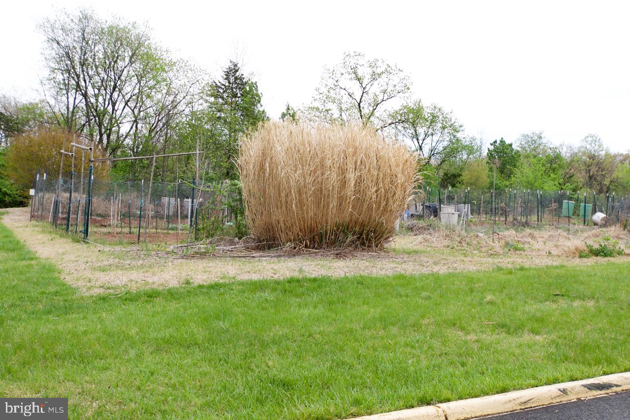 8450 Stonewall Road Manassas, VA 20110 - Photo 44 of 48 a view of a back yard
