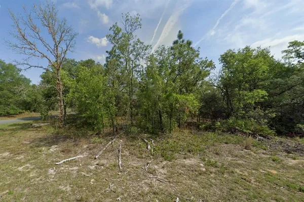 $32,500 | 1389 West Pendleton Street, Dunnellon, FL 34434
