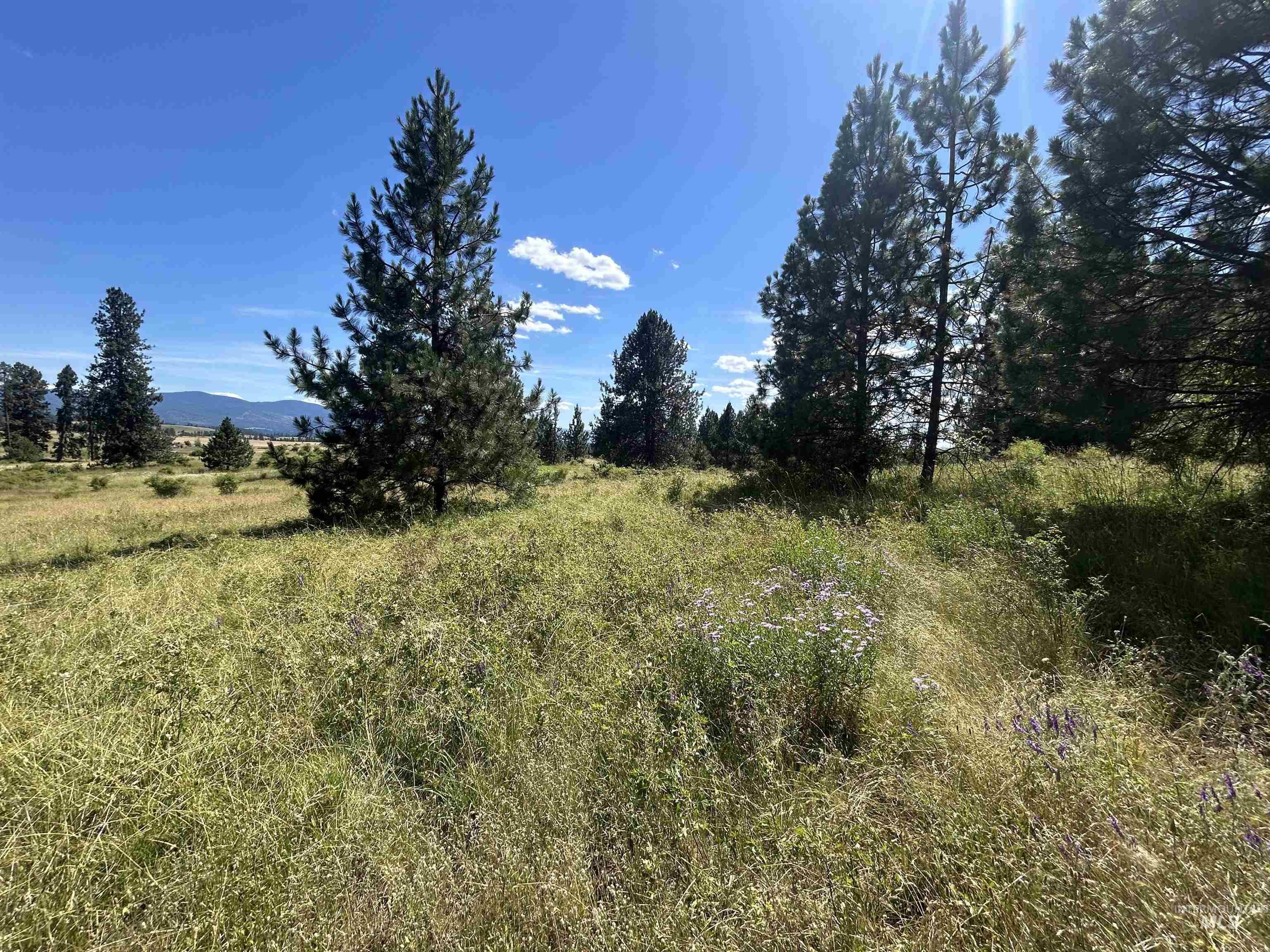 Tbd Lot 2 Tbd Road Kooskia, ID 83539 - Photo 10 of 15