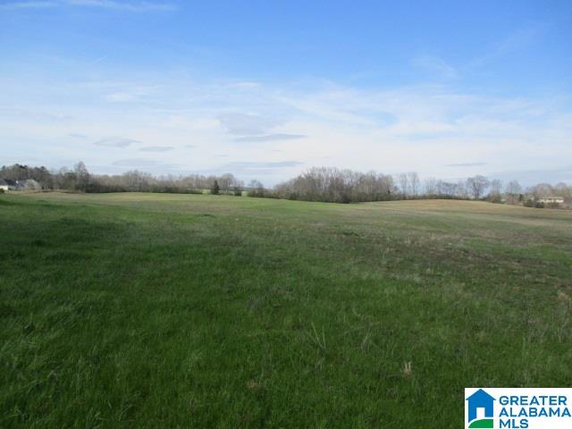 160 Highway Parcel Al, Unit 1 Cleveland, AL 35049 - Photo 3 of 10