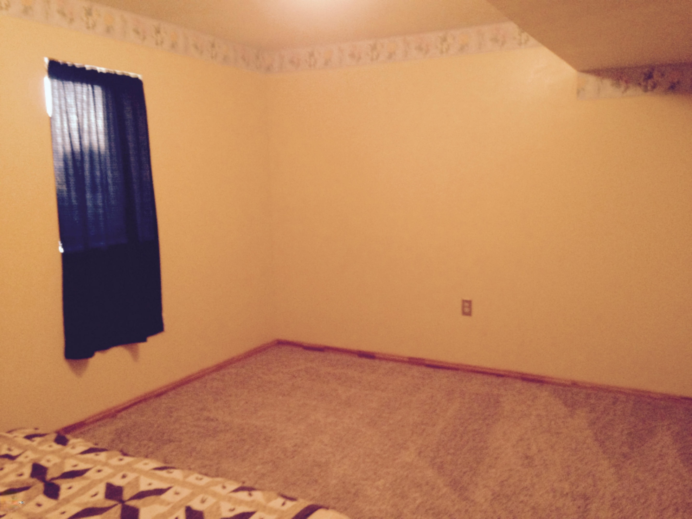 14340 Heffron Road Northeast Belding, MI 48809 - Photo 17 of 20 FullSizeRender (4)