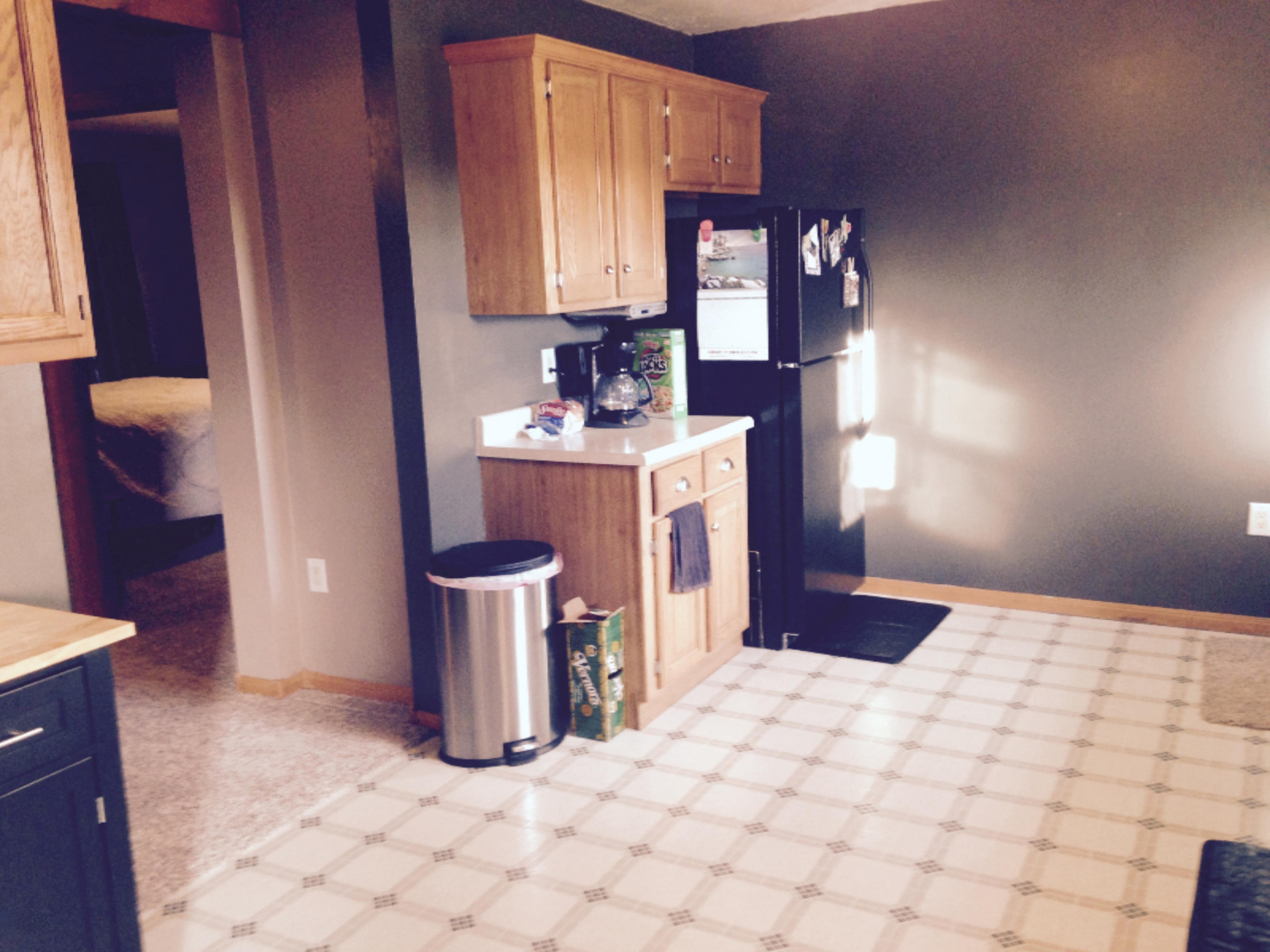 14340 Heffron Road Northeast Belding, MI 48809 - Photo 8 of 20 FullSizeRender (11)