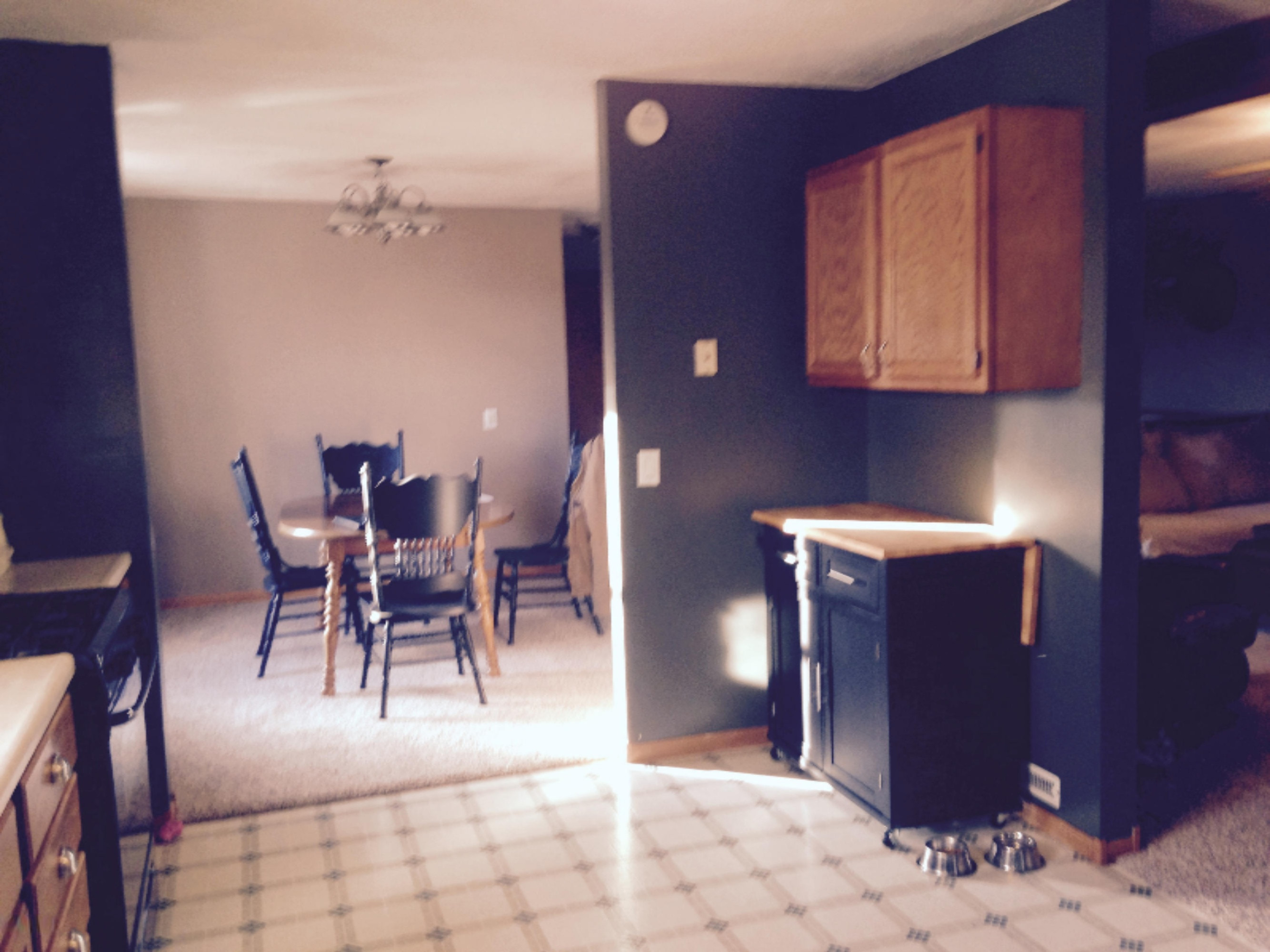 14340 Heffron Road Northeast Belding, MI 48809 - Photo 9 of 20 FullSizeRender (12)