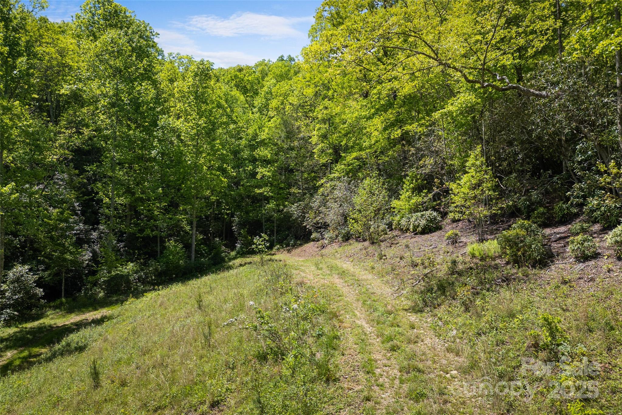 1557 Shoal Creek Road Balsam Grove, NC 28708 - Photo 15 of 33