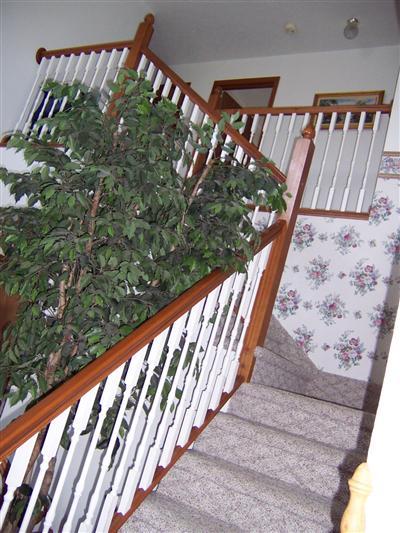 280 West Lockwood Road Coldwater, MI 49036 - Photo 12 of 12 Additional Photo
