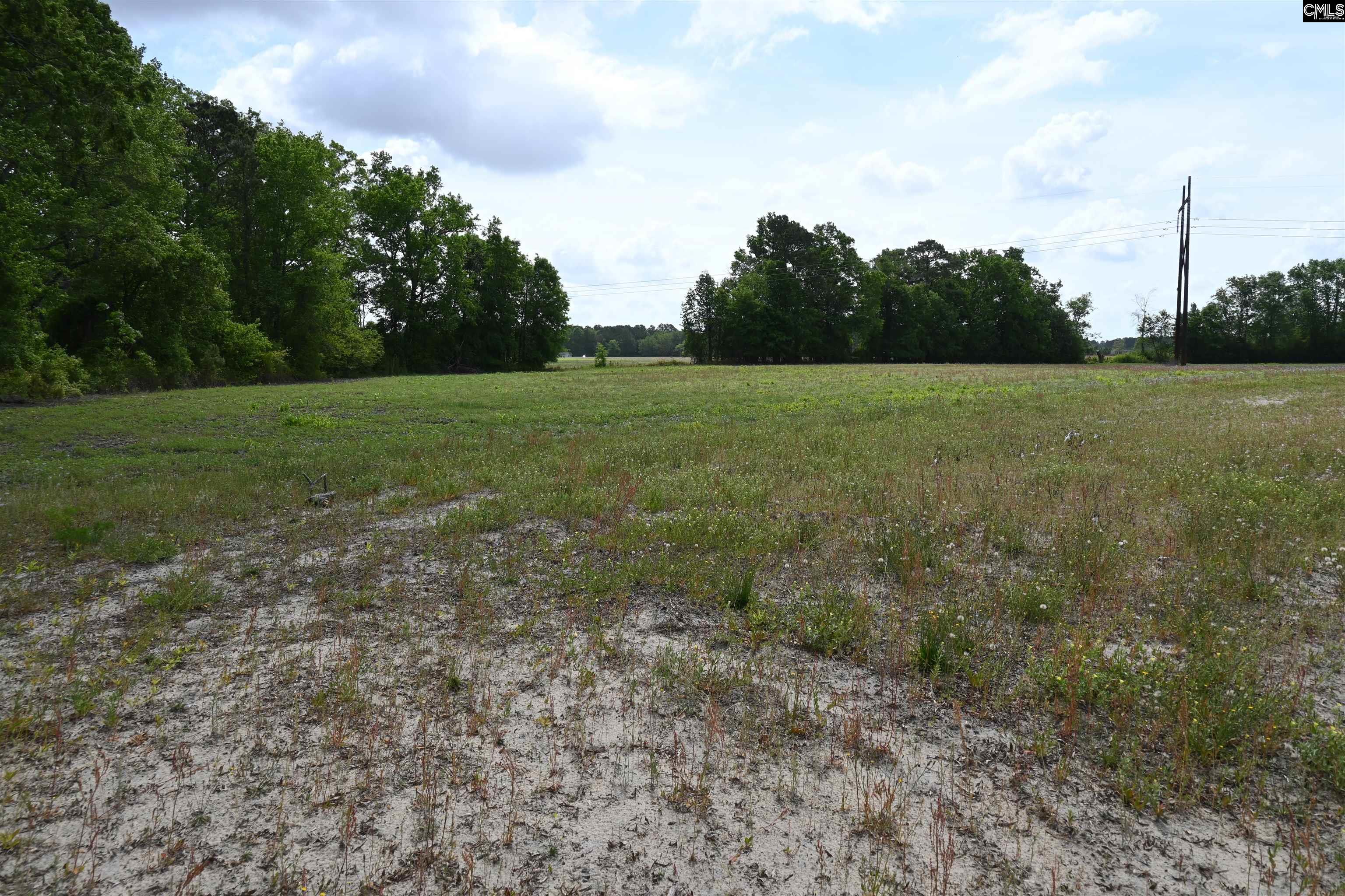 Tbd Gallowaytown Road Hartsville, SC 29550 - Photo 29 of 34