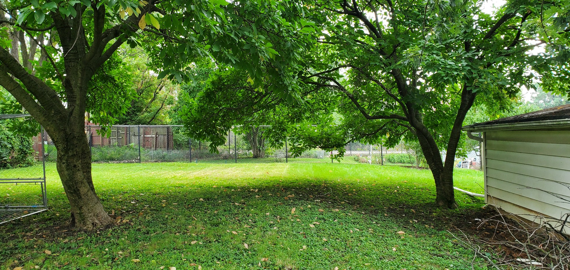 812 West Park Avenue Joliet, IL 60436 - Photo 3 of 3