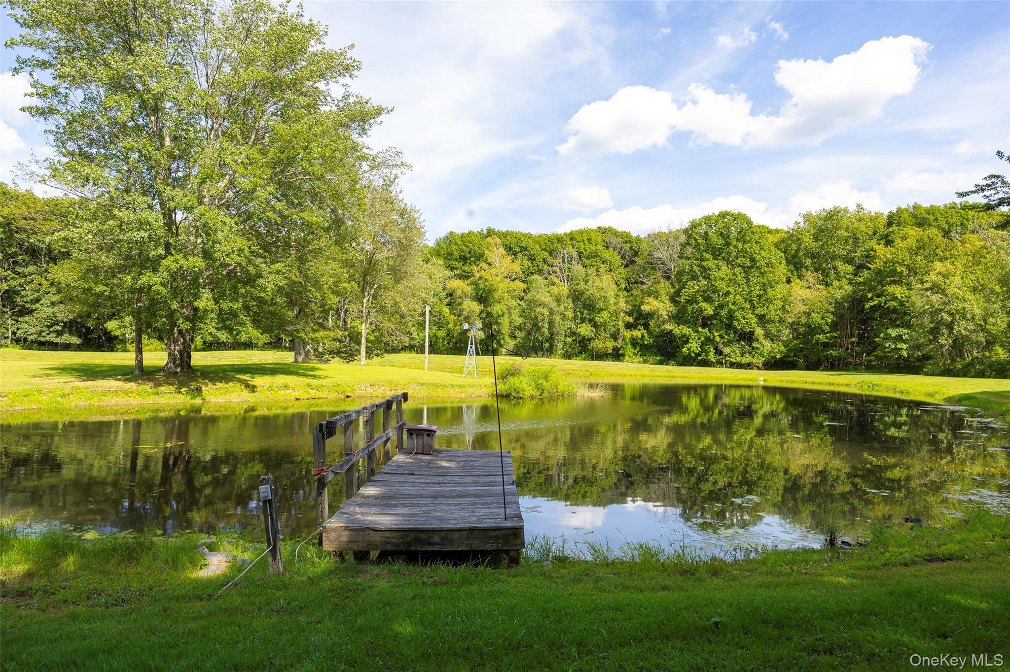 89 Deer Pond Road Verbank, NY 12585 - Photo 37 of 40 a view of a swimming pool with a garden
