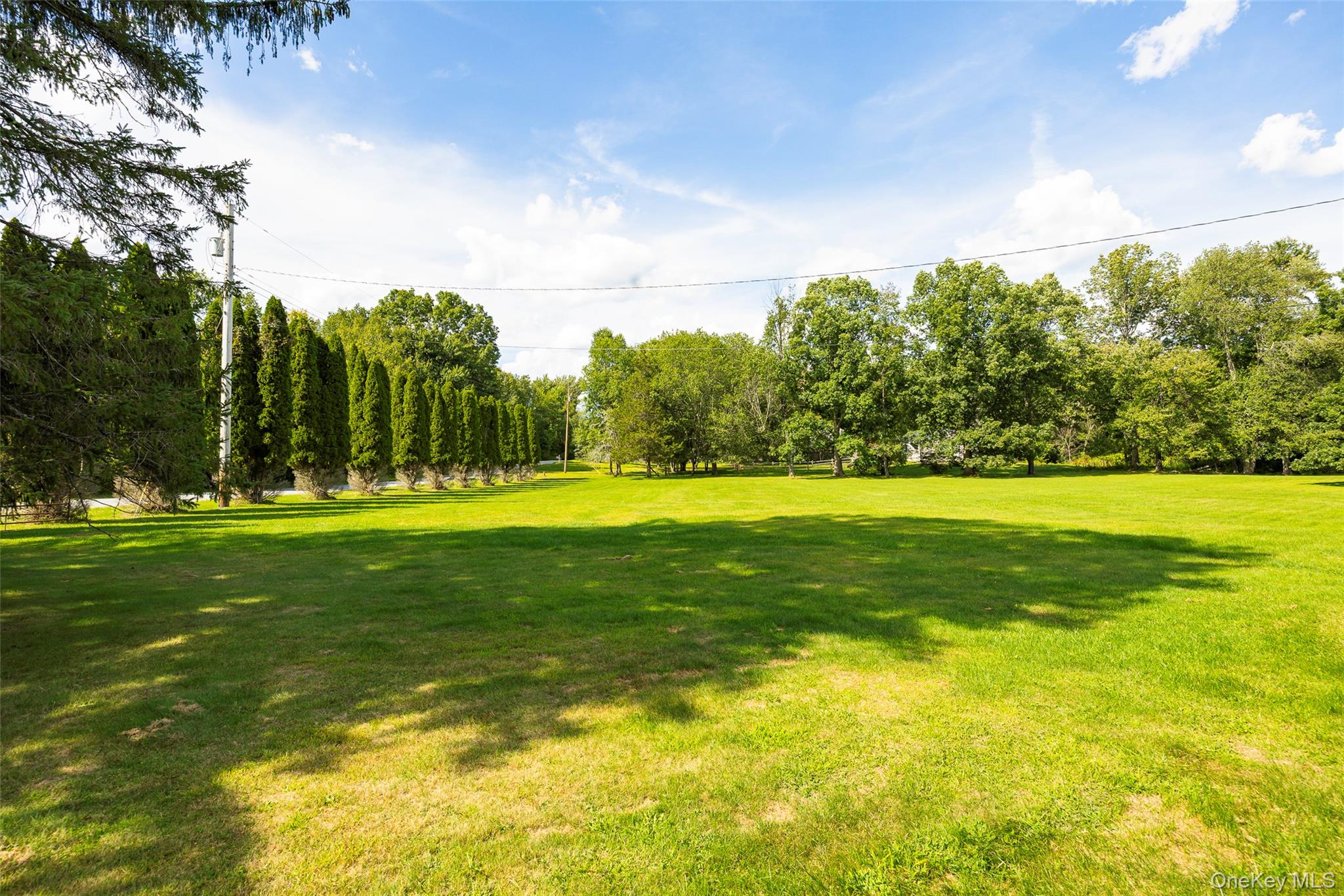 89 Deer Pond Road Verbank, NY 12585 - Photo 40 of 40 a view of outdoor space with swimming pool and green space