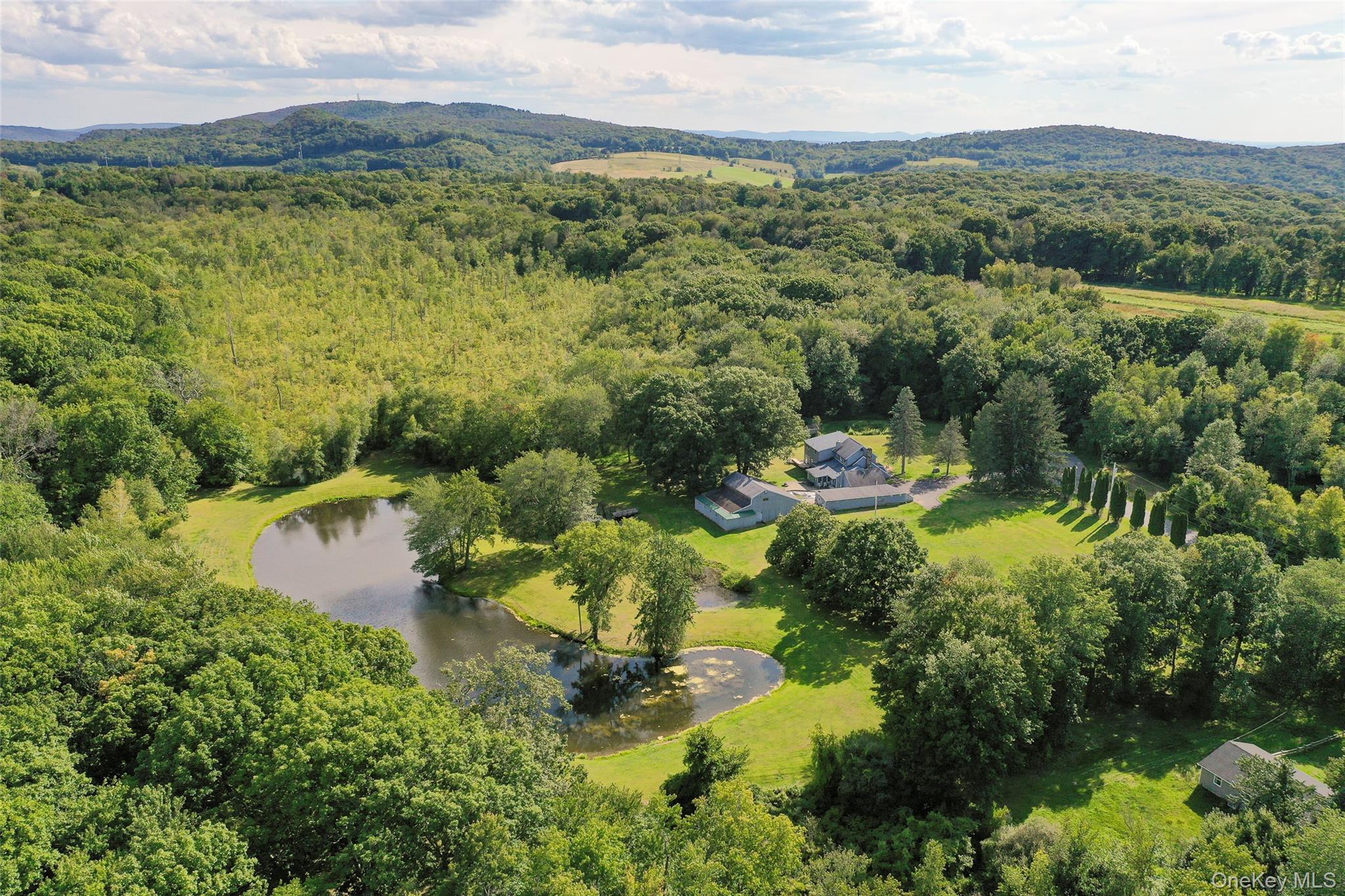 89 Deer Pond Road Verbank, NY 12585 - Photo 8 of 40 a view of lake with mountain