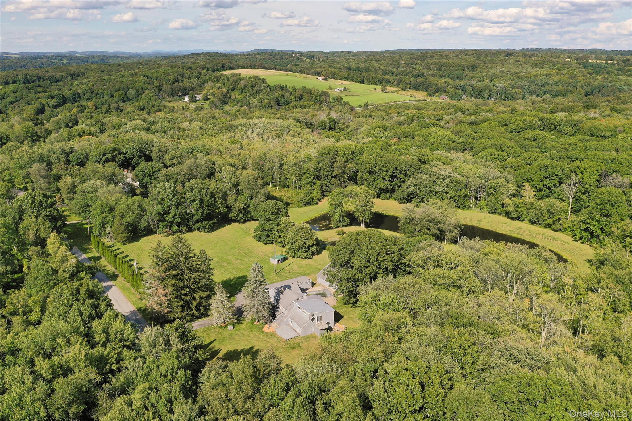 89 Deer Pond Road Verbank, NY 12585 - Photo 10 of 40