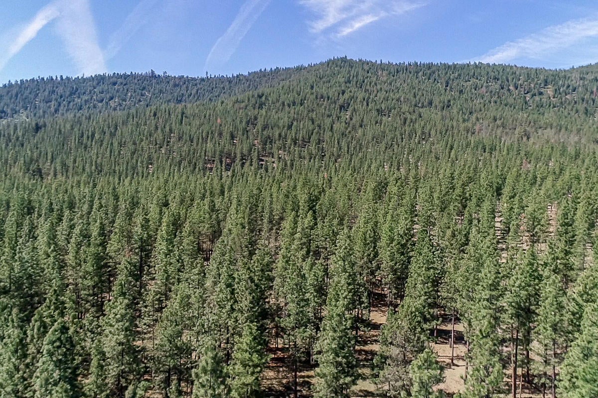 9996 West Langell Valley Road Bonanza, OR 97623 - Photo 43 of 45 9996WLangellValley-BGP-MLS-Drone004