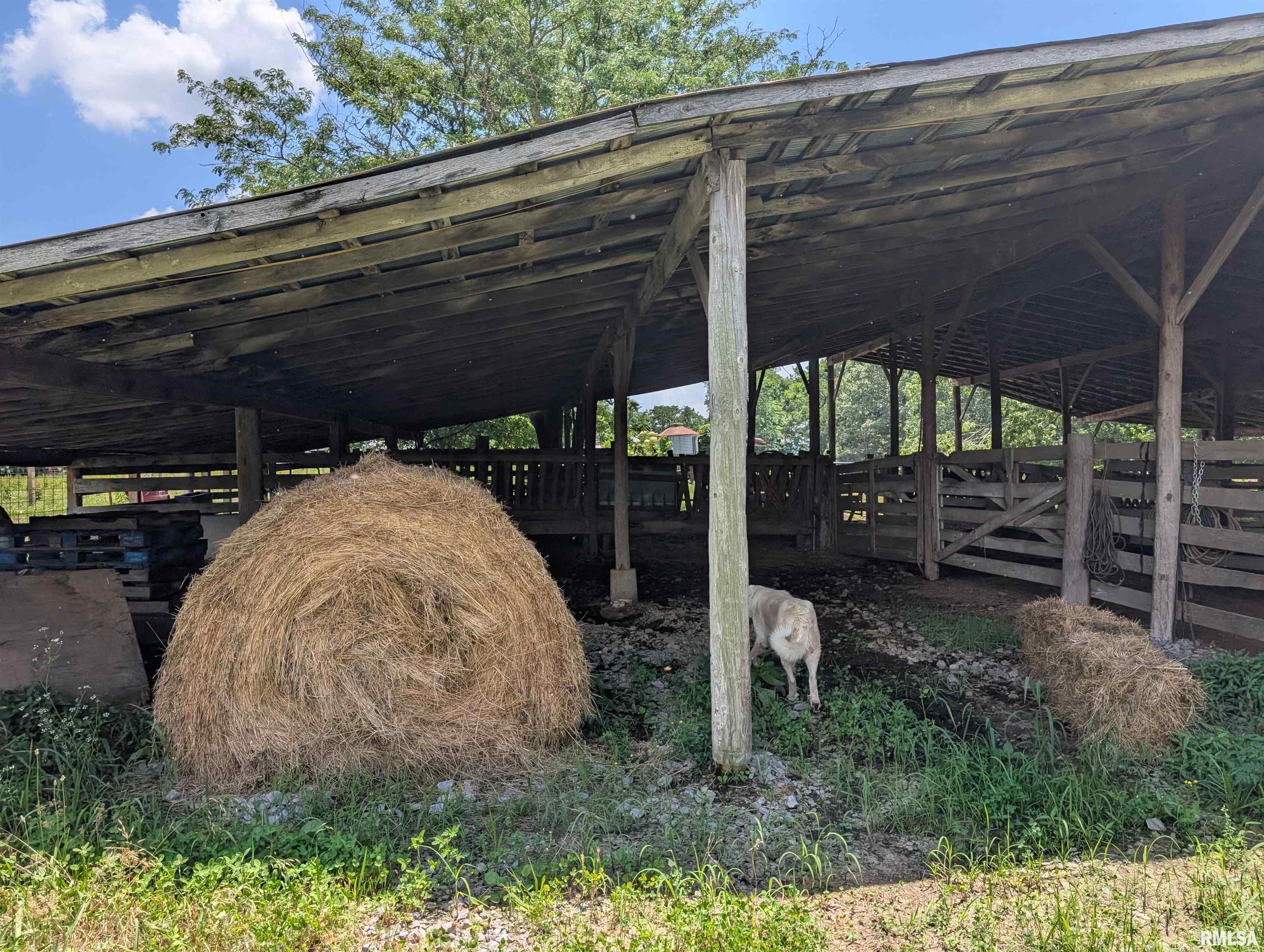 340 Dameron Lane Vienna, IL 62995 - Photo 8 of 46
