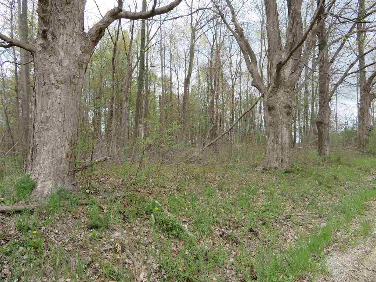0 Wagner Road Imlay City, MI 48444 - Photo 1 of 6