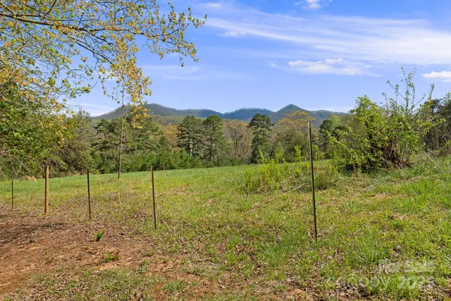 a view of a yard with a tree