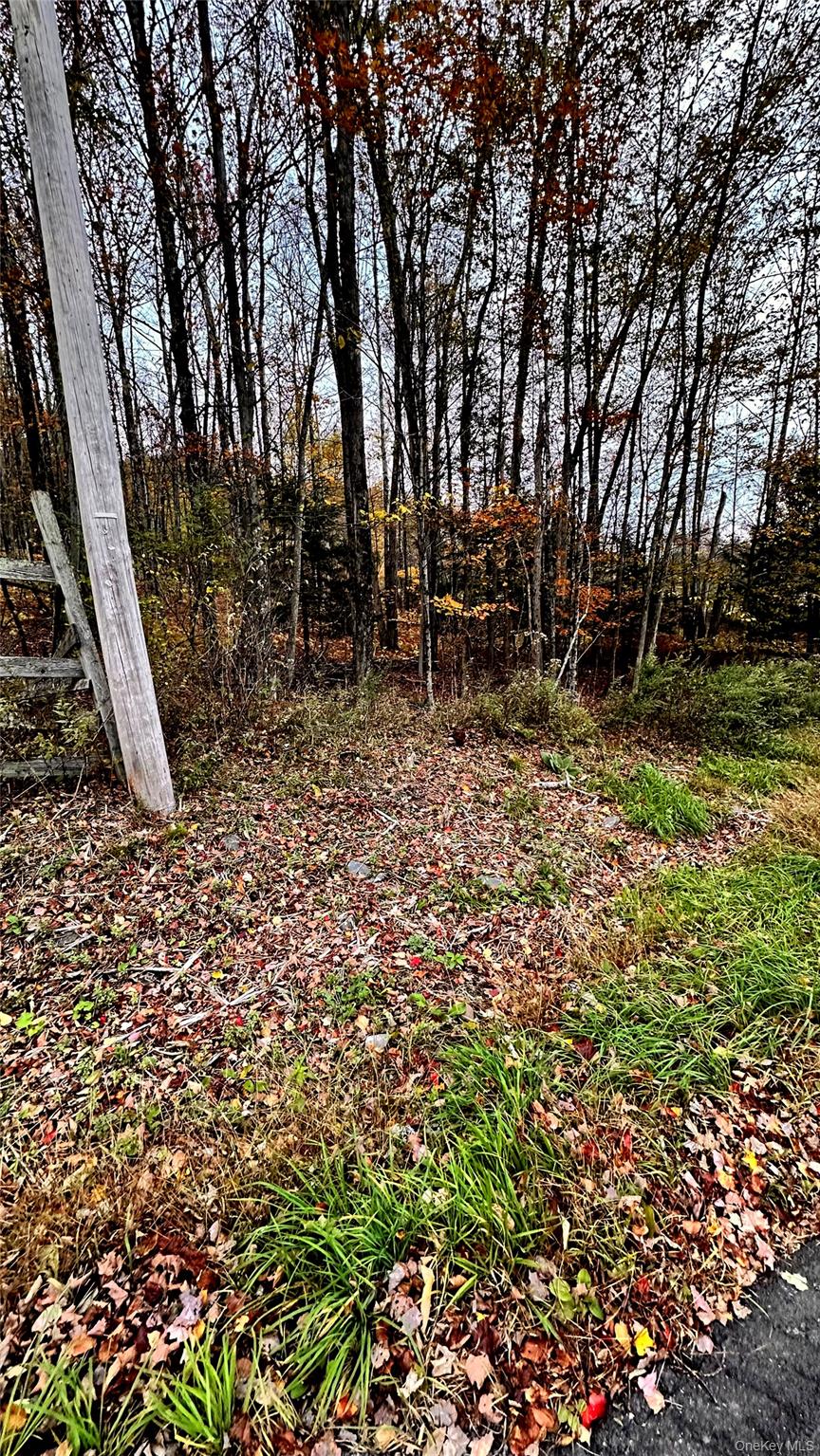 Tbd Hysana Road Fallsburg, NY 12733 - Photo 1 of 11 a view of backyard with green space