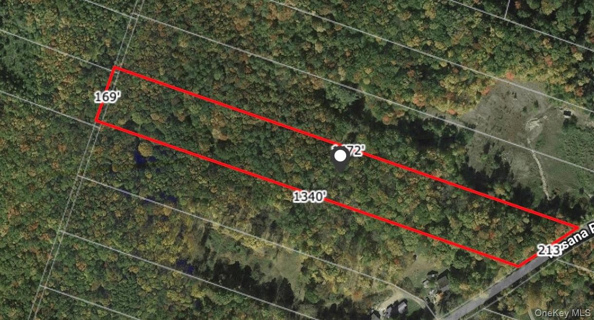 Tbd Hysana Road Fallsburg, NY 12733 - Photo 11 of 11