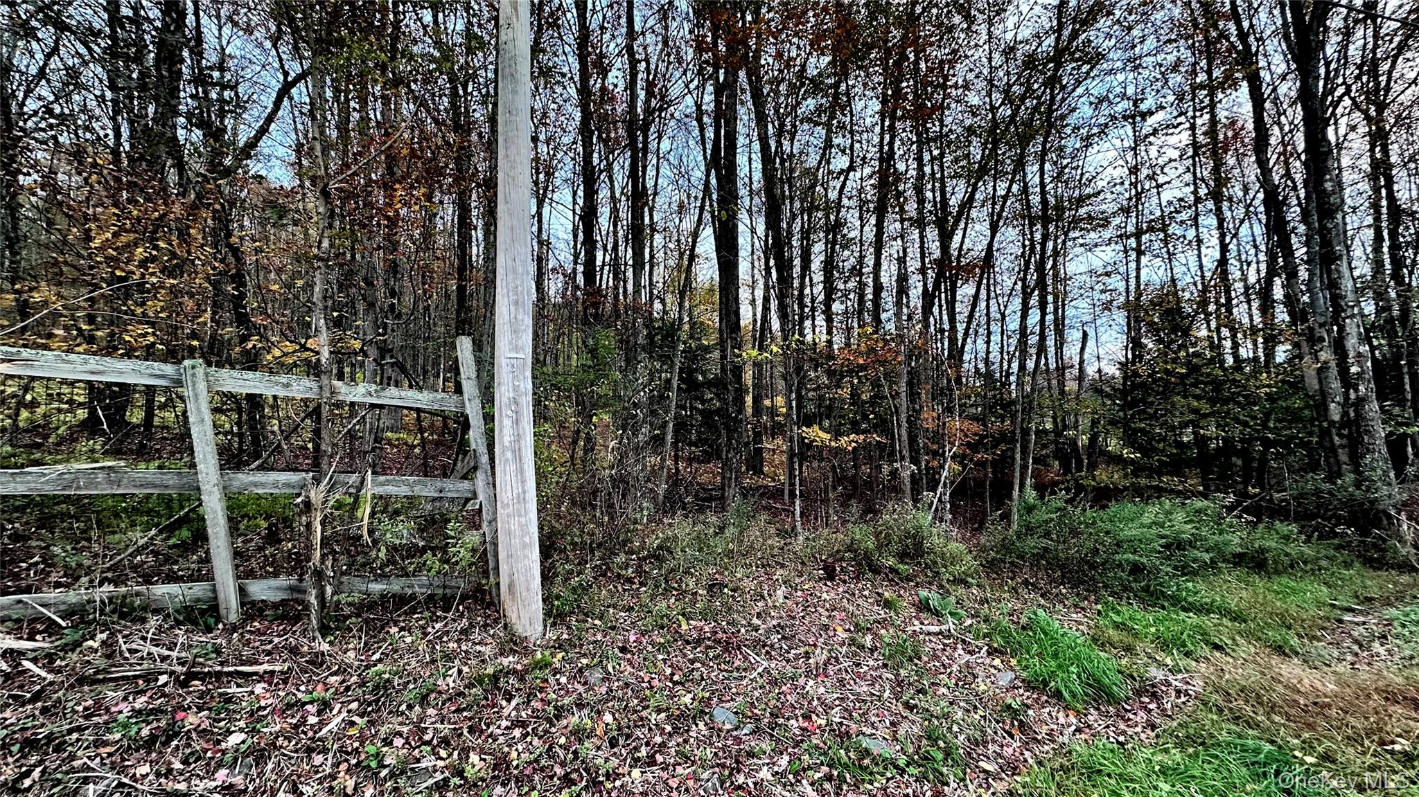Tbd Hysana Road Fallsburg, NY 12733 - Photo 2 of 11 a view of outdoor space with trees