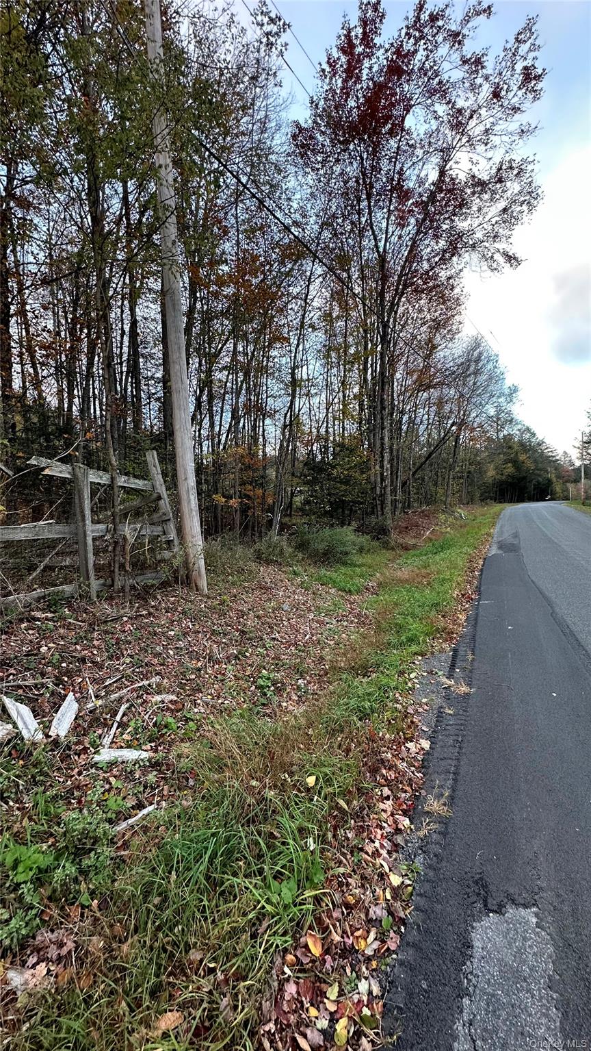 Tbd Hysana Road Fallsburg, NY 12733 - Photo 3 of 11 a backyard of a house with lots of green space