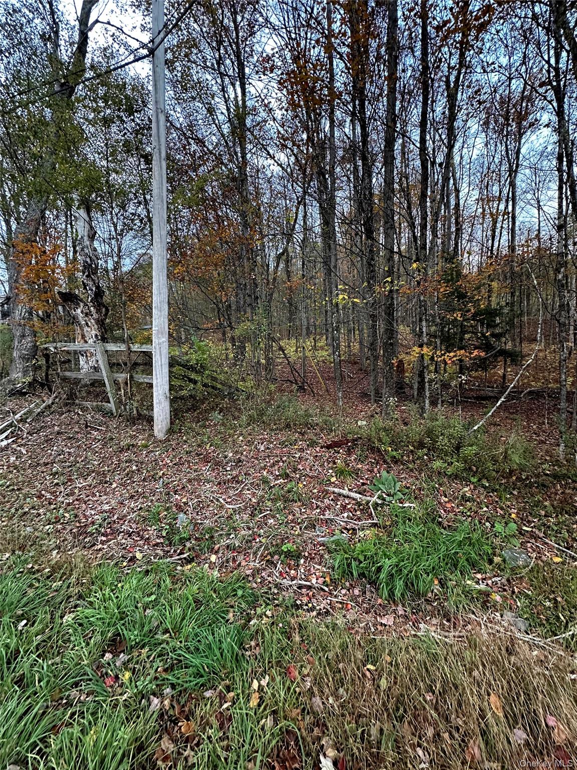 Tbd Hysana Road Fallsburg, NY 12733 - Photo 4 of 11 a backyard of a house with lots of green space and fog