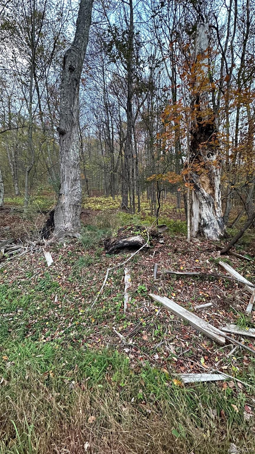 Tbd Hysana Road Fallsburg, NY 12733 - Photo 5 of 11 a backyard of a house with lots of green space