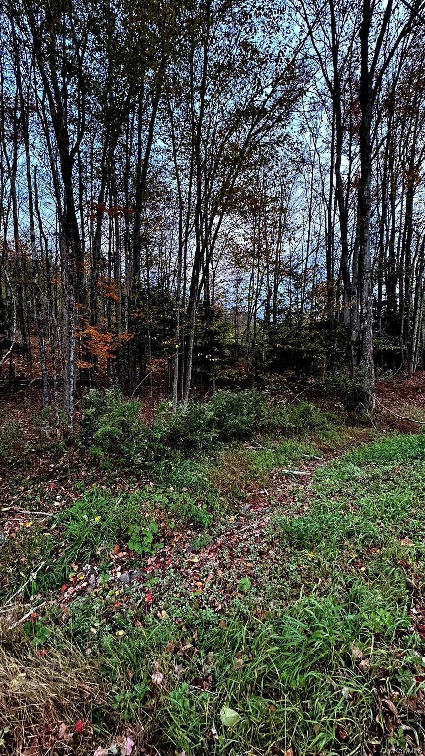 Tbd Hysana Road Fallsburg, NY 12733 - Photo 7 of 11 a view of backyard with green space