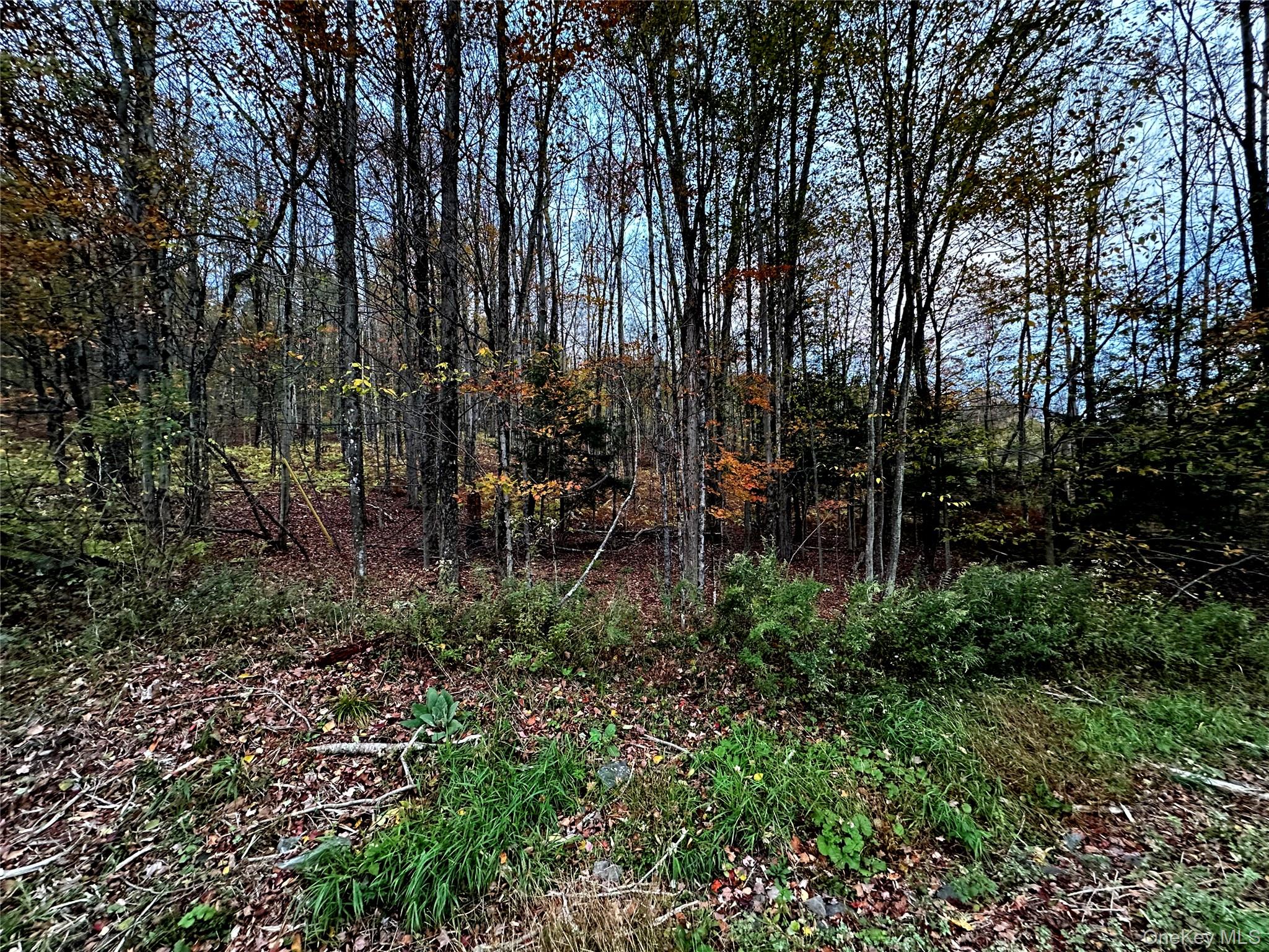 Tbd Hysana Road Fallsburg, NY 12733 - Photo 8 of 11 a view of outdoor space stove and sitting space