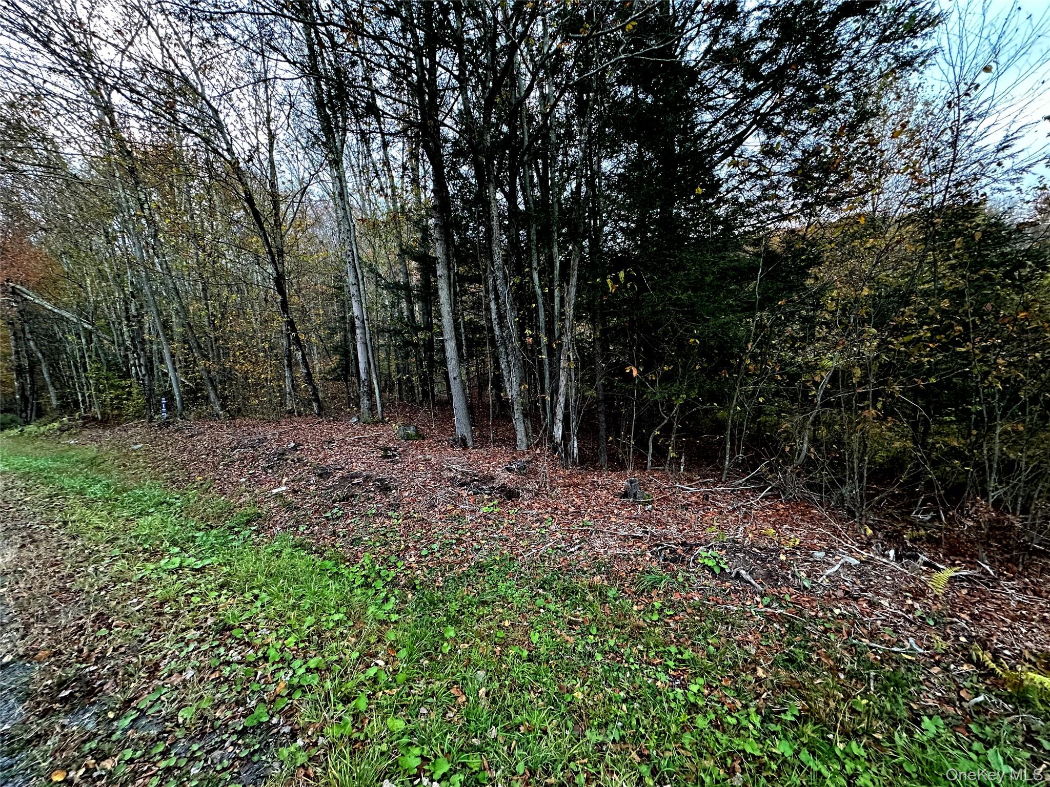 Tbd Hysana Road Fallsburg, NY 12733 - Photo 10 of 11 a view of outdoor space with trees