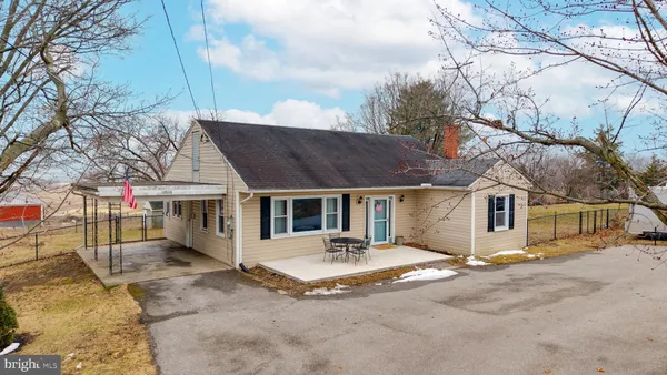 a view of a yard with a large tree