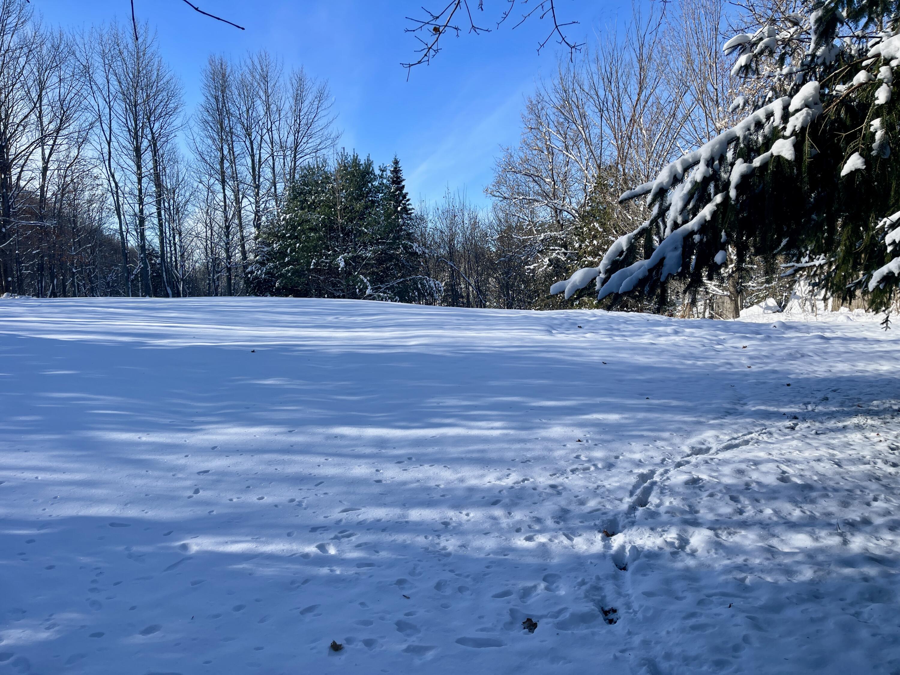 15 Whitney Street Calais, ME 04619 - Photo 11 of 37 IMG_7933 2