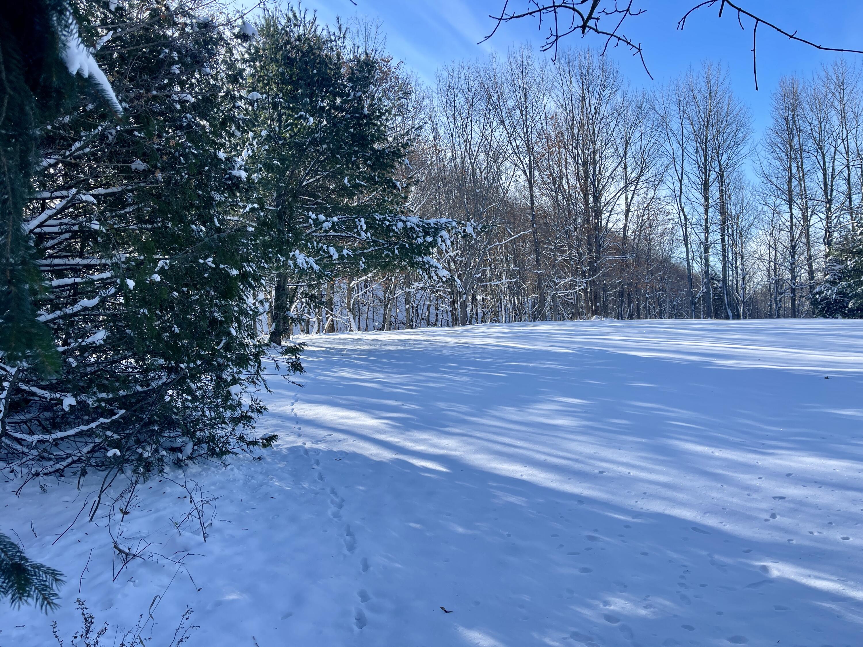 15 Whitney Street Calais, ME 04619 - Photo 14 of 37 15 Whitney Street (Winter