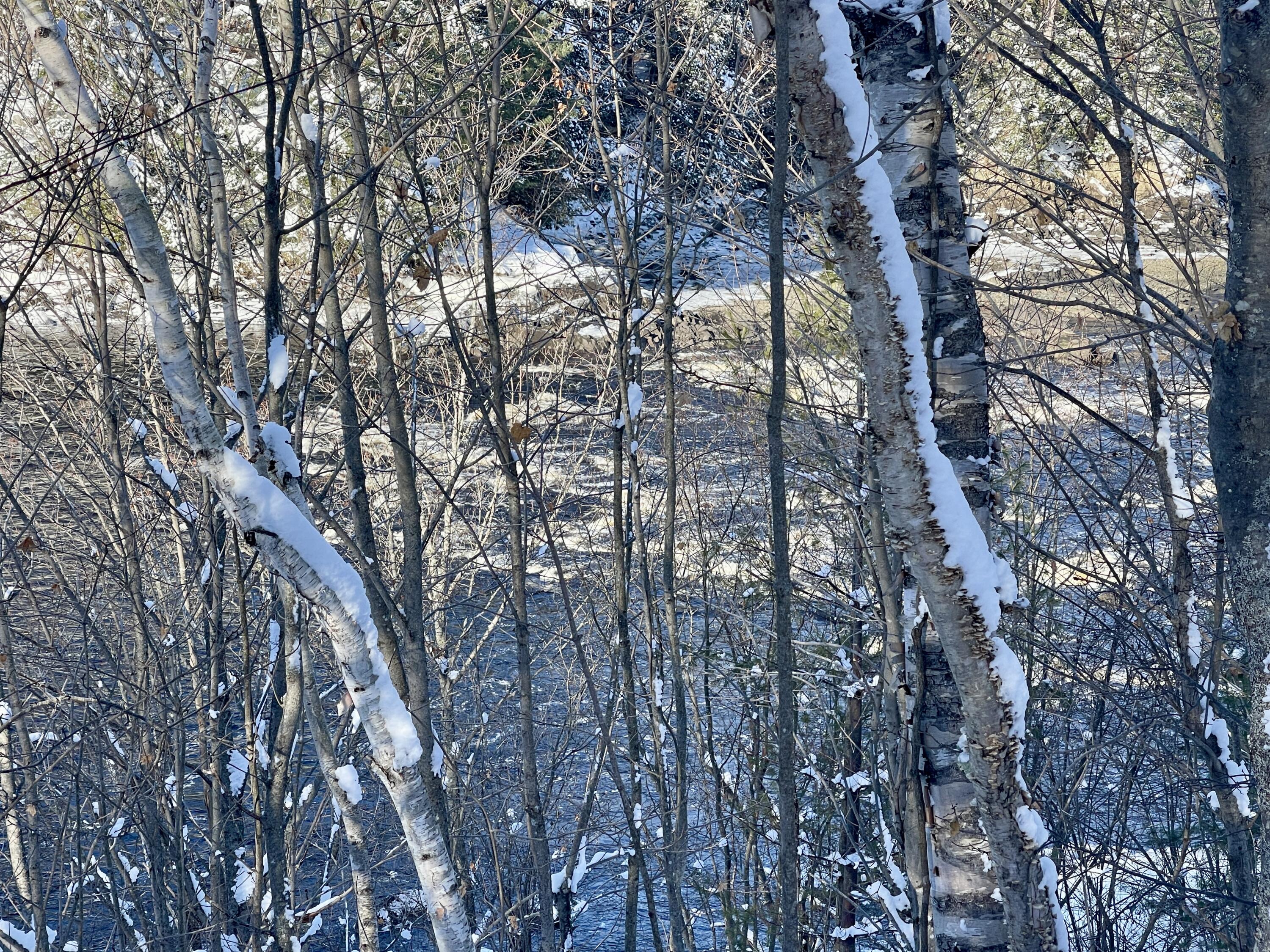 15 Whitney Street Calais, ME 04619 - Photo 17 of 37 IMG_7952