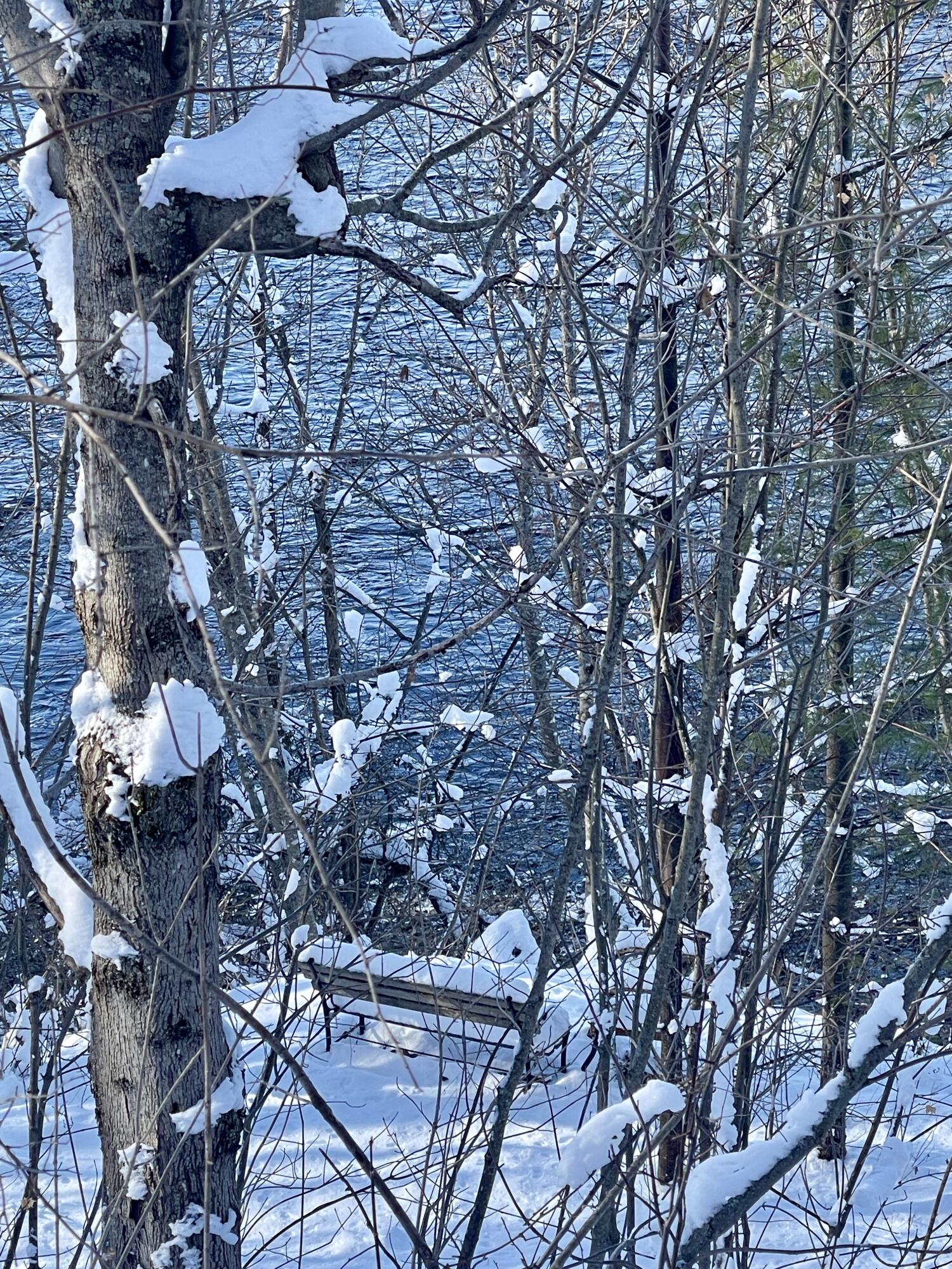 15 Whitney Street Calais, ME 04619 - Photo 19 of 37 IMG_7963 2