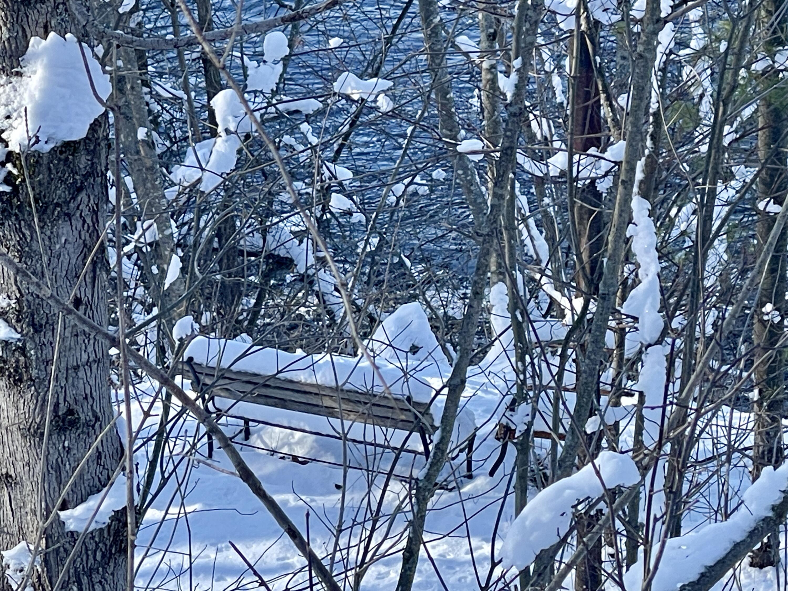 15 Whitney Street Calais, ME 04619 - Photo 20 of 37 IMG_7964 3