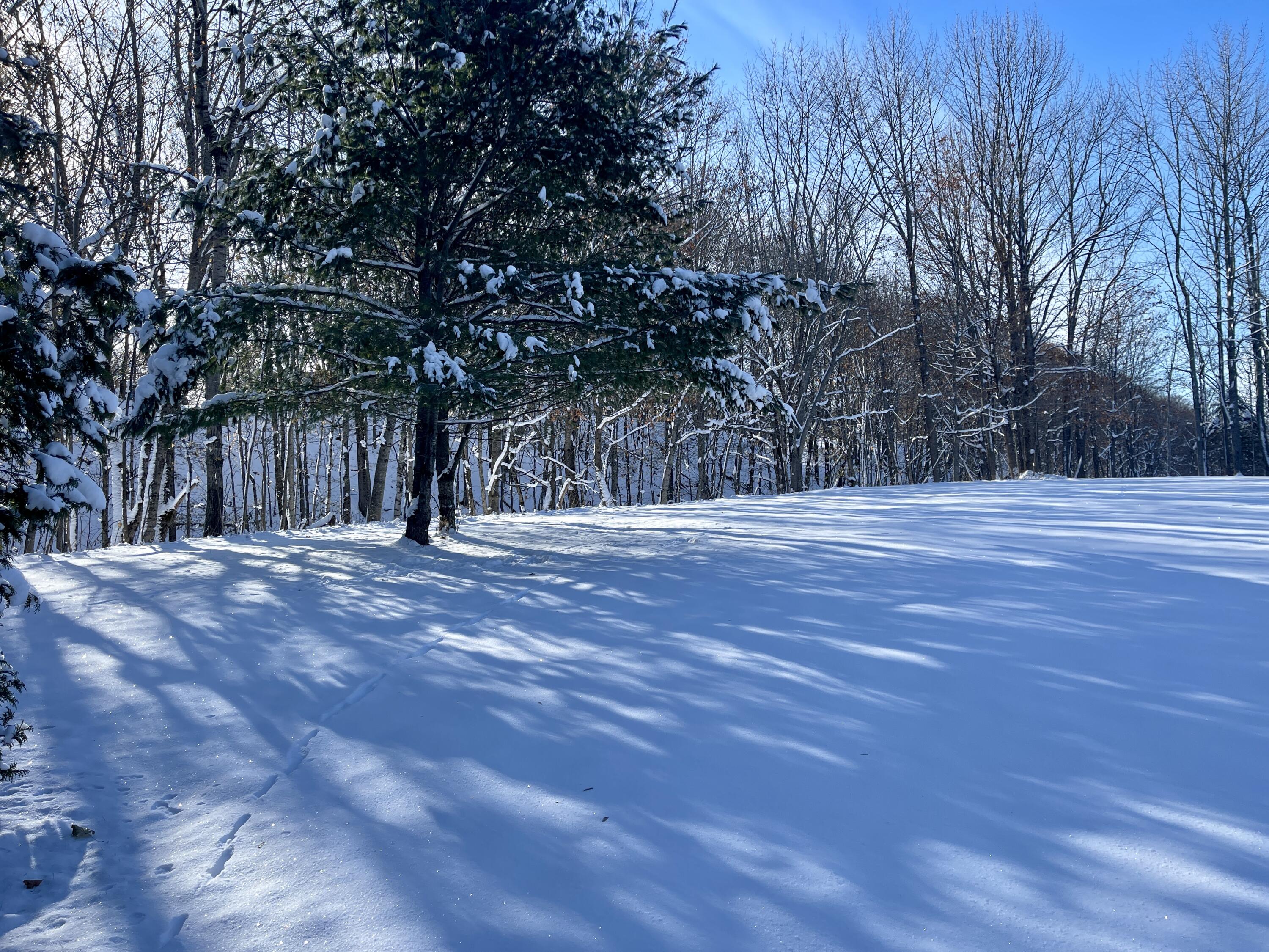 15 Whitney Street Calais, ME 04619 - Photo 22 of 37 IMG_7940