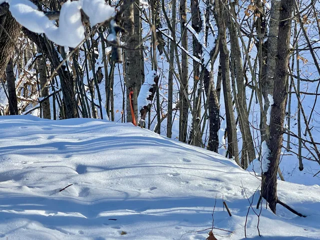 $97,000 | 15 Whitney Street, Calais, ME 04619