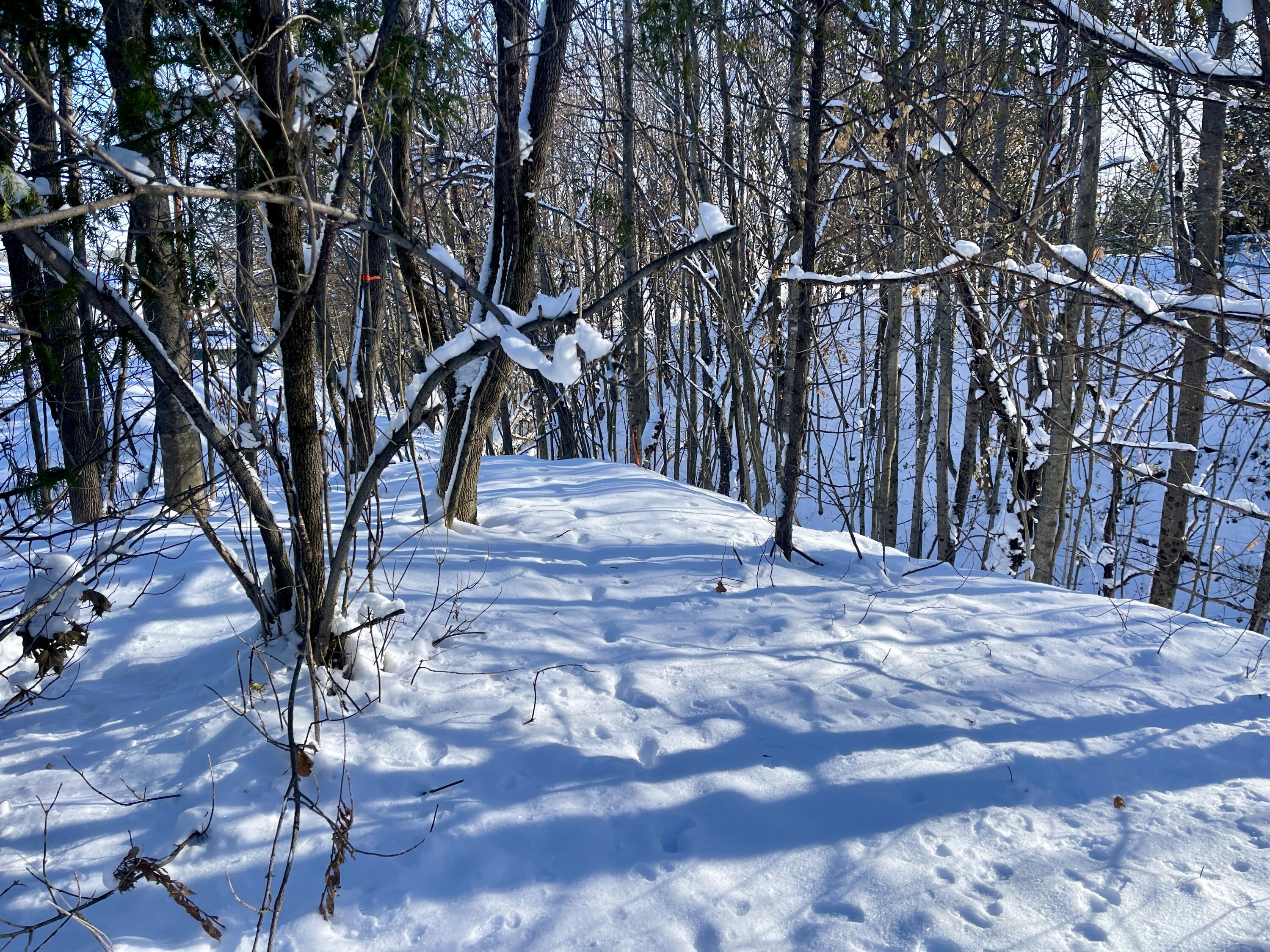 15 Whitney Street Calais, ME 04619 - Photo 26 of 37 IMG_7945
